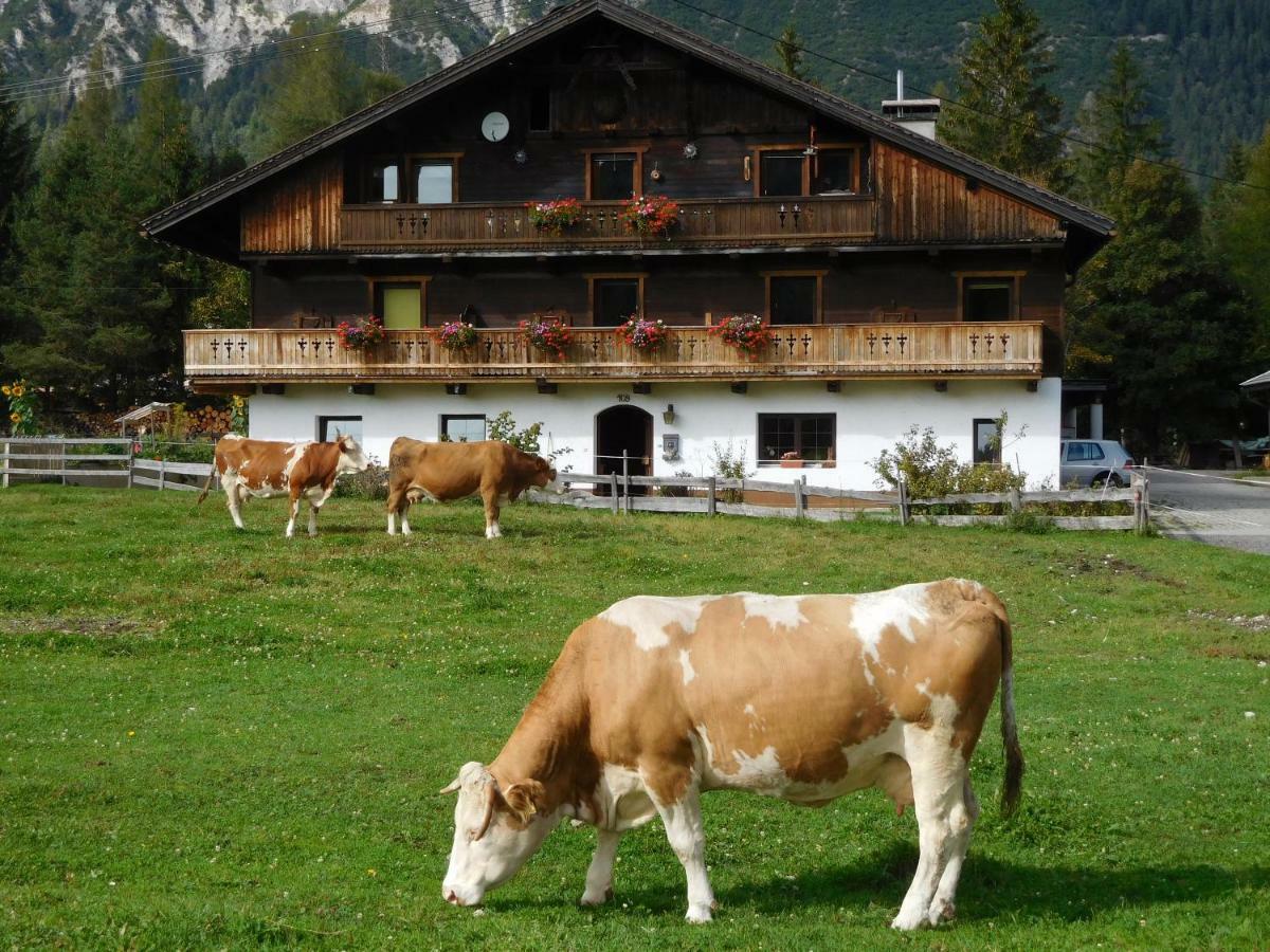 Ferienwohnung Thoamlhof Leutasch Exterior foto